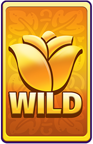 Wild_Card.png